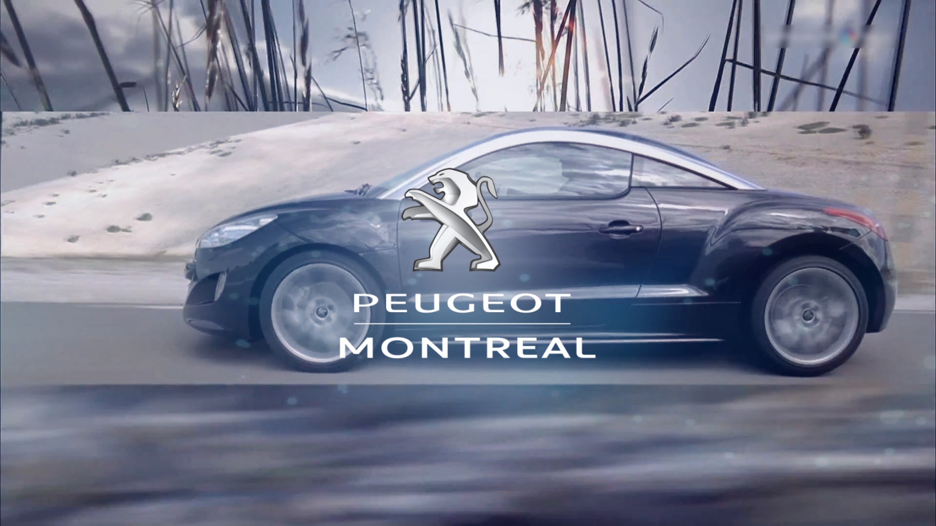 Peugeot RCZ 3008 e 308cc